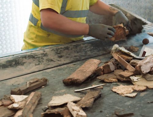 The Ultimate Guide to Wood Recycling
