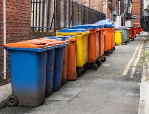 A Complete Guide to Commercial Bins